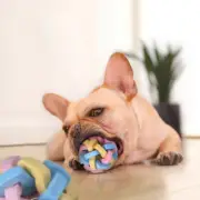 Pet Chew Toys Ferrets Dog Cat Knotted Rubber Ball with Sound Bell Chewing Toy
