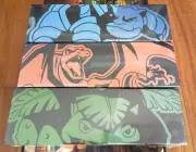 Pokemon Chinese 25th Anniversary Charizard+Blastoise+Venusaur 3 Reinforced Boxes