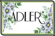 Adler Bentwood Box- Custom Decals - Sewing Machine waterslide decals