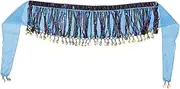 [TINEASUR] Belt Costume Halloween Clothing Pirate Costumes Outfits Sequin Tassel Skirts Mardi Gras Outfit for Women Belly Dancer Scarf Belly Dancer Hip Scarf Chiffon Black