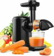 Bagotte Masticating Juicer, 150-Watt, Higher Juice Yield and Drier Pulp, BSJ80