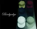 韓國 重磅 潮流 版帽 SNAPBACK 六色 現貨 版帽 帽子