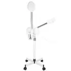 2-In-1 LED Cold Light Magnifying Glass Facial Steamer Magnifying Lamp Machine