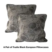 Pair of Trudie Lace European Pillowcases by Accessorize