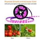 USB Powered 5V Full Spectrum LED Grow Light Strip for Indoor Plants