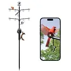 NETVUE by Birdfy Smart Bird Feeder Pole with Bird Watching Camera - Auto Capt...