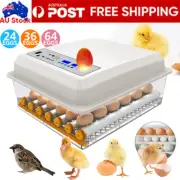 24/36/64 PCS Eggs Incubator Fully Automatic Digital Chicken Poultry Led Turning