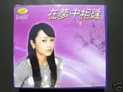 Japanese Drama Let's Meet In Our Dreams VCD
