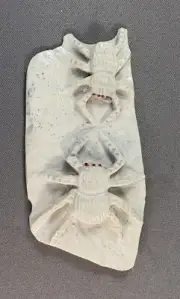 Navajo Fish Rock Very Detailed Fighting Tarantulas Fetish by Jensen Charlie, NEW