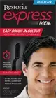 Restoria Express Brush-In Hair Colour, Grey Hair Coloring For Men, Restores Y...