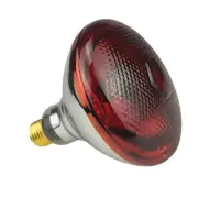 2 Pack Heat Lamp Infrared Bulbs PAR38 Glass Lamp Bulb for Food Service, Brood...