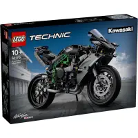 在飛比找蝦皮購物優惠-【樂高丸】樂高 LEGO 42170 川崎 Kawasaki