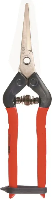 Chikamasa T-55SC - 195mm Stainless Steel Professional Pruning Scissors (GT431)