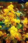 Golden Wattle Microfiber Tea Towel