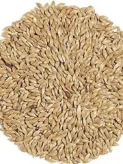 Avigrain Plain Canary Seed 2.5kg