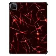 iPad Pro 11-inch (3rd/4th gen) iPad Impact Case Chrome Thorns
