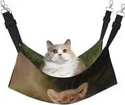 EdWal Art Lion print Soft Sleeping Hammock Cat Hammock for Cage Hanging,Pet Hammock Bed Adjustable for Small Animals