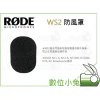 在飛比找蝦皮購物優惠-【RODE WS2 防風罩】公司貨 NT1-A NT2-A 