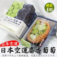 在飛比找momo購物網優惠-【WANG 蔬果】日本長野/山梨縣溫室麝香葡萄1房禮盒x4盒