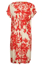 Danica Poppy Print Dress--AER-GA525D23
