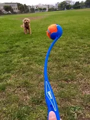 Dog Tennis Ball Launcher Pet Training Outdoor Toy Throw Fetch Heavy Duty Thrower