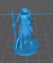 Other Races Cleric Mini - DND - Pathfinder - Dungeons & Dragons - RPG - Tabletop