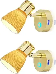 2pcs RV 12 Volt Reading Lights with USB Port, Frosted Glass with Wood Pattern polishing Finish Interior Lights, Aluminum with Gold Finish