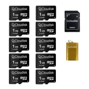 Cloudisk Micro SD Card 1 GB (Set of 10) Flash Card Class 4, SD Adapter, Card Rea