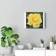 Simplicity