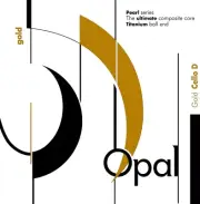 For-Tune Opal Gold 4/4 Cello Violoncello D String