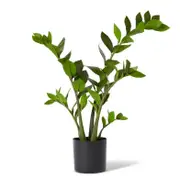 E Style 70cm Zanzibar Potted Artificial Plant Fake/Faux Home Decor Green