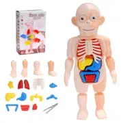 Kid’s for Creative Puzzle Assembly Block Educational DIY Science Toy Human Body