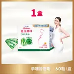 【MATERNA 惠氏媽咪】DHA藻油膠囊 200MG(60粒/組)