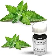 Spearmint Essential Oil / 100% Pure Spearmint Undiluted Essential Oil Premium Quality (100 ML, NATURAL)