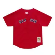 Mitchell & Ness Red MLB Boston Red Sox David Ortiz 2004 Button Front Jersey