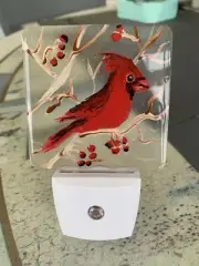 Cardinal Hand Painted On Led Dusk To Dawn Night Light With resin Coating