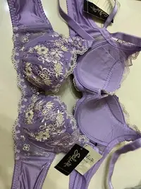 在飛比找Yahoo!奇摩拍賣優惠-華歌爾 莎露 美鑽 刺繡蕾絲 精緻內衣 B70 專櫃進口內衣