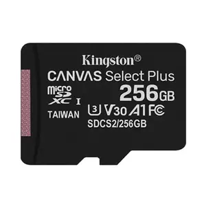 Kingston 金士頓 256G 100MB/s U3 microSD A1 V30 記憶卡 現貨 蝦皮直送
