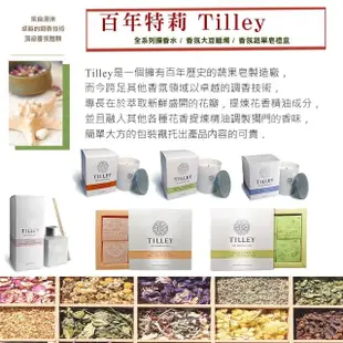 【Tilley百年特莉】芙蓉花香氛大豆蠟燭(240g)