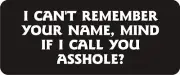 3 - I Can't Remember Your Name Hard Hat / Biker Helmet Sticker BS212