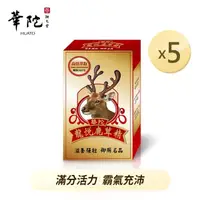 在飛比找momo購物網優惠-【華陀扶元堂】龍悅鹿茸精膠囊5盒組(30粒/盒-活力來源)