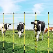 [OGL] 20pcs Electric Fence Post Tread Step in Wire Garden Farm Livestock Cattle Sheep Insulators Poles Pigtail Fibreglass Adjustable Graze Fencing Temporary