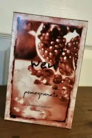 NIB ❤️ Wen By Chaz Dean ❤️ Cleansing Conditioner Pomegranate 16 oz SEALED in BOX