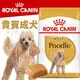 此商品48小時內快速出貨》BHN 法國新皇家飼料《貴賓成犬PDA》7.5KG