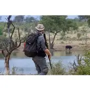 Save 20.00%! Half-Day Walking Safari in Greater Kruger National Park