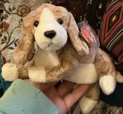 TY Beanie Baby Sniffer