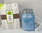 NIB 2016 Scentsy Home Winter Frost Wax Warmer Light Blue Mason Jar w/ Snowflakes