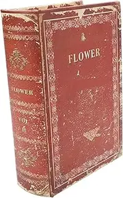 Cabilock Vintage Decor Retro Fake Book Craft Book Modeling Storage Home Decor Stylish Storage Box Unique Taste