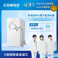 在飛比找誠品線上優惠-【Coway】奈米超淨化櫥下型淨水器 P-150N