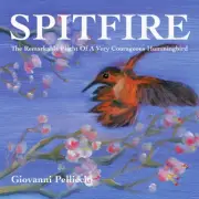 Spitfire - The Remarkable Flight Of A Very Courageous Hummingbird